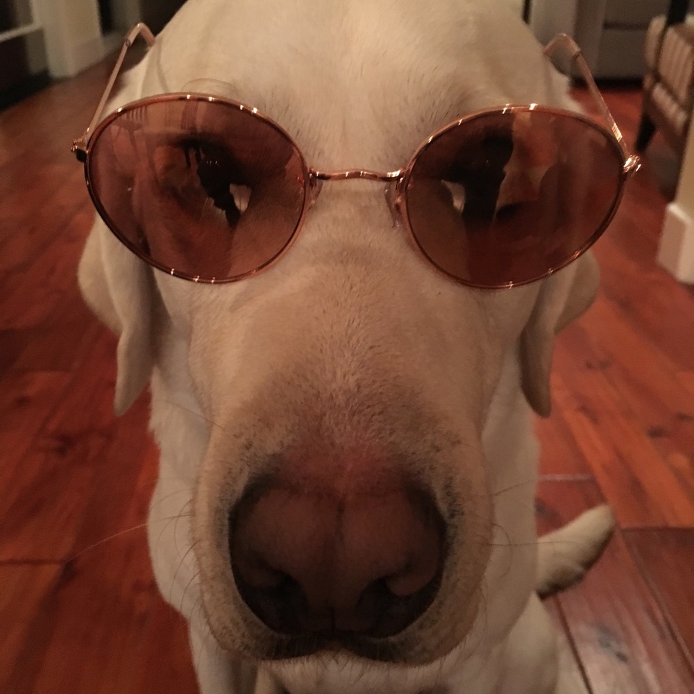 Meet your Posher, Annette